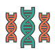 HLA-B1502 Genotyping